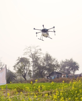 A005C113_250131TS.00_02_31_38.Still012