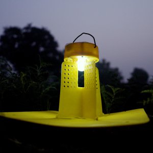 C2331.00_01_36_48.Still029